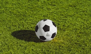 体育场馆内工作人员进行设备检查和维护